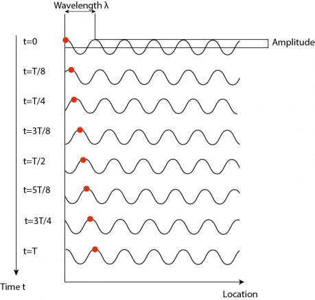 Formation and propagation of a wave in a string