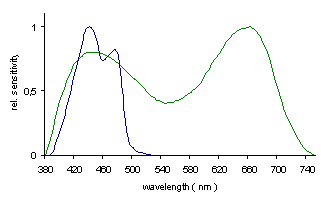 Phototropism and photosynthesis 