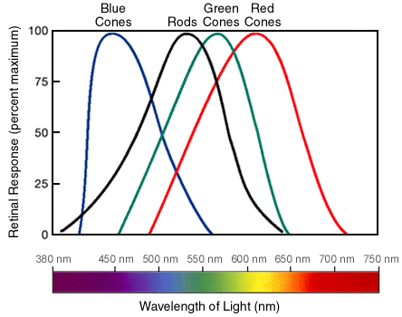 Komprimere forklare Skaldet The Perception of Color Gigahertz-Optik