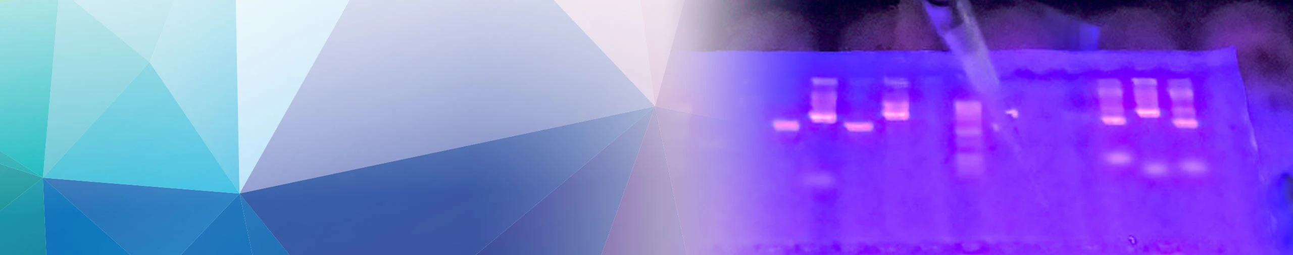 Customized System Solutions