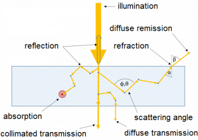 Effects of light propagation